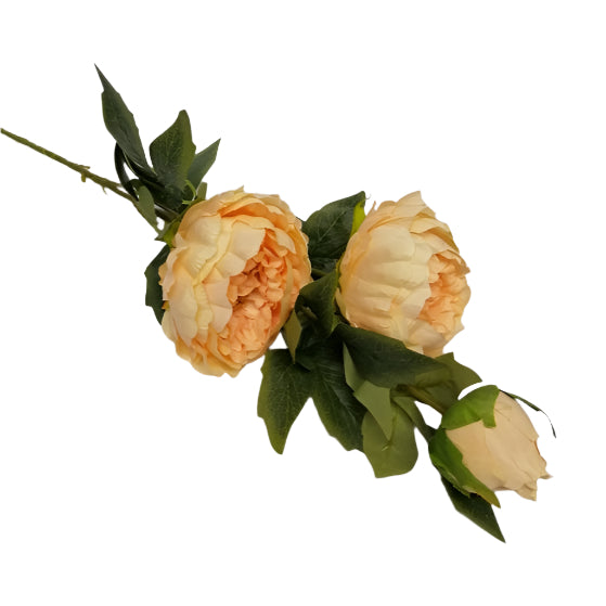 Peony 92cm - Cream