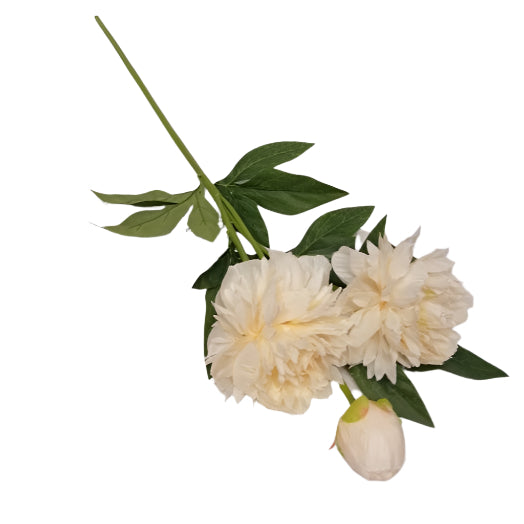 Peony 3 Head 72cm - Beige