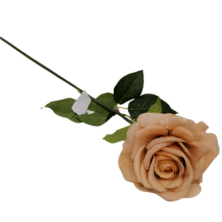 Rose Stem 75cm - Cream