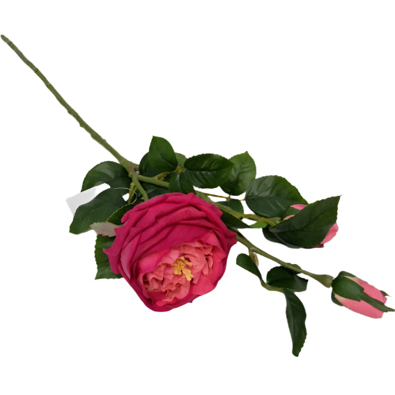 Rose Stem 70cm - D/Pink