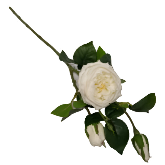 Rose Stem 70cm - White