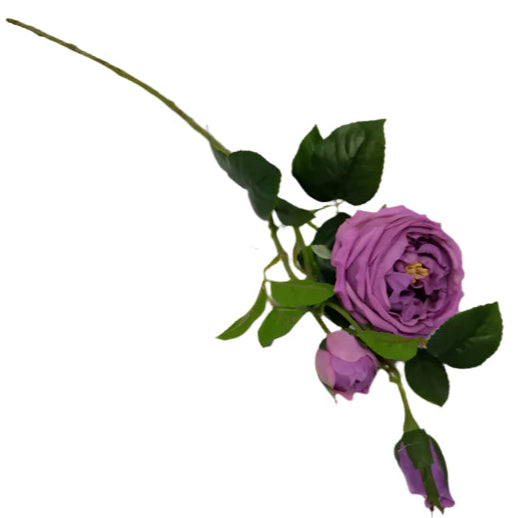 Rose Stem 70cm - Purple