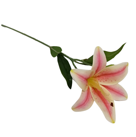 Lily 48cm Pink & White