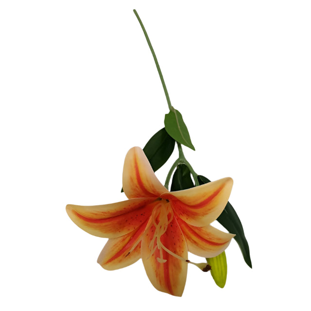 Lily 48cm Orange