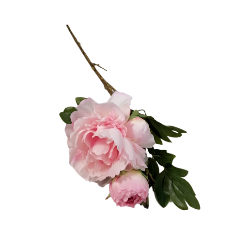 Peony 3 head 60cm - Light Pink