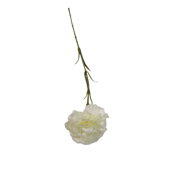 Carnation on stem 63cm - White