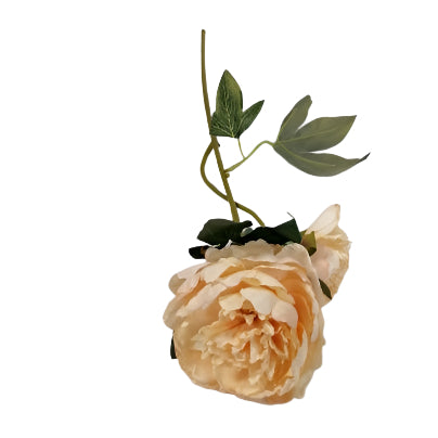 Peony 2 head 52cm - Cream