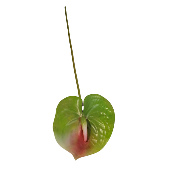 Anthurium Lily 62cm - Green