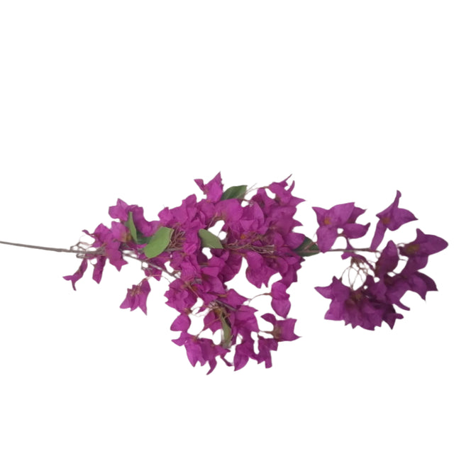 Bougainvillea Stem 116cm - Purple