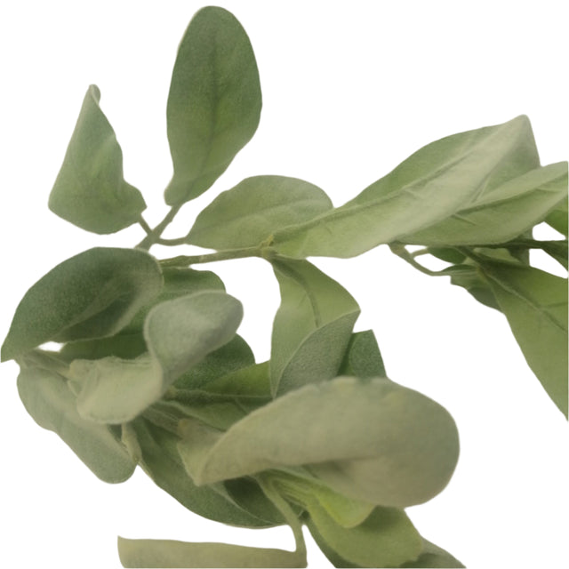 Flocked Stachus Leaf on Stem 65cm - velvet lambs ear leaves