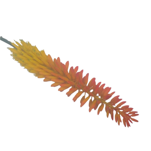 Artificial Alwyn on Stem 90cm - Yellow/Red