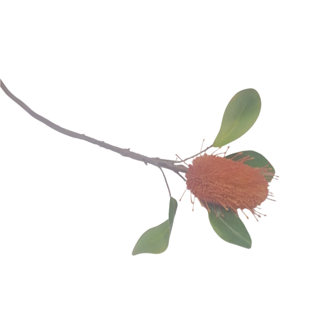 Artificial Flower - Burned Red Pincushion