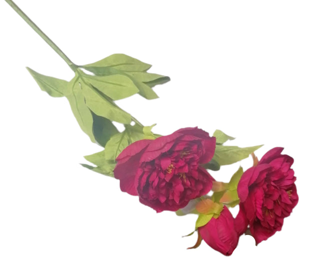 Peony Dark Pink 14cm