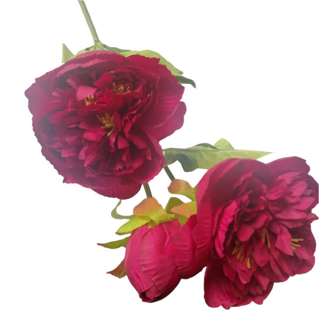 Peony Dark Pink 14cm