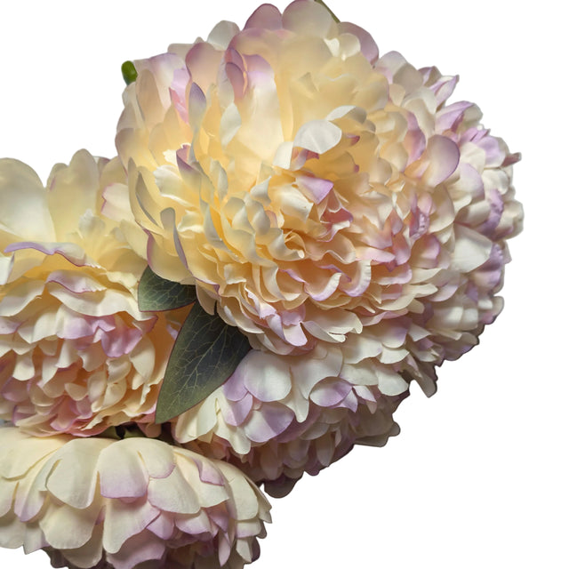 Peony bunch 50cm - Cream