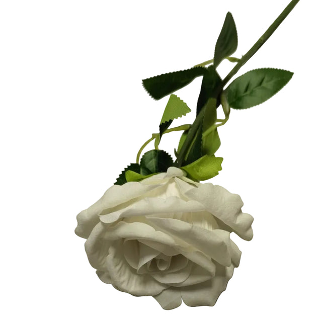 Rose Stem 75cm - White