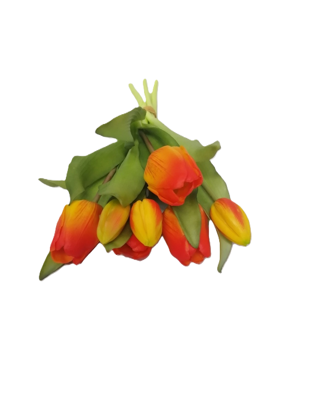Tulip Bunch - Orange 30cm