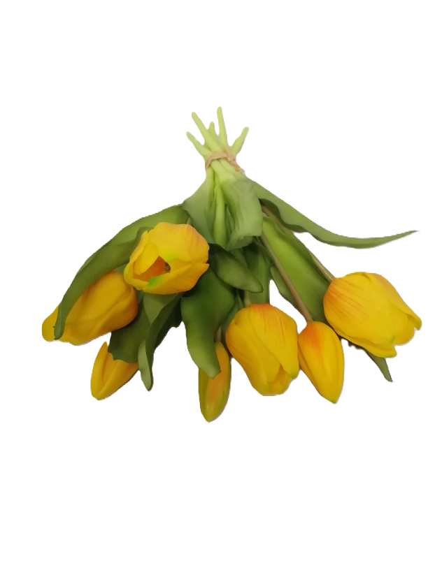 Tulip Bunch - Yellow 30cm