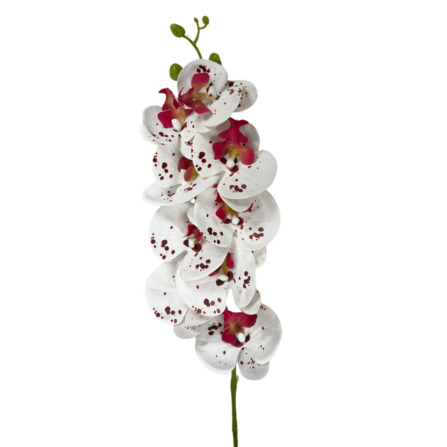 Orchid Stem 90Cm - Purple & White
