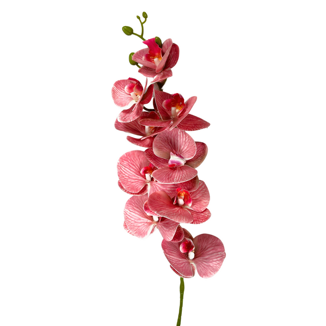 Orchid Stem 90Cm - Pink
