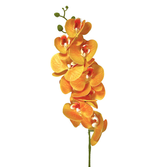 Orchid Stem 90Cm - Yellow