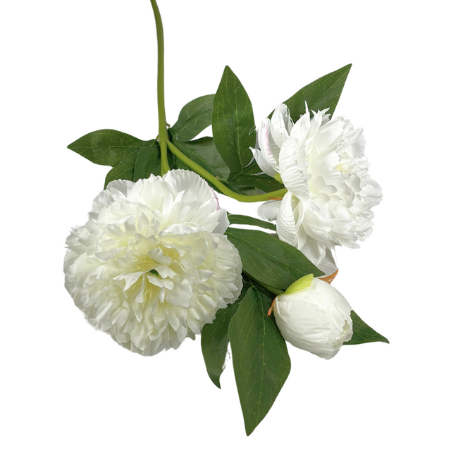 Peony 3 Head 72cm - White