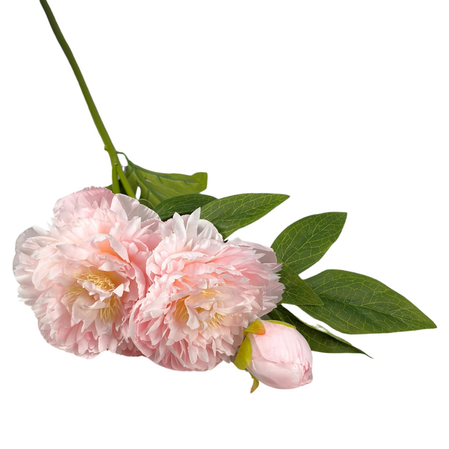 Peony 3 Head 72cm - L/Pink