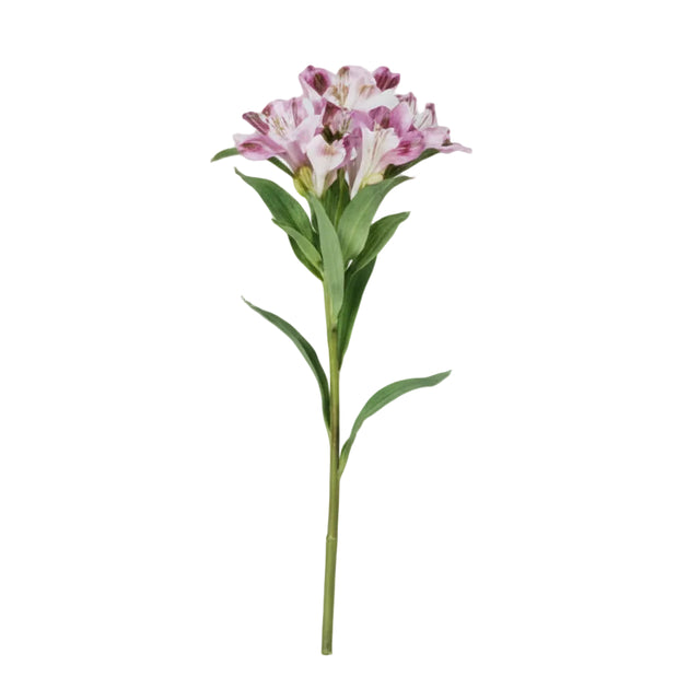 Single Peruvian lily 20x20x80cm - Light purple
