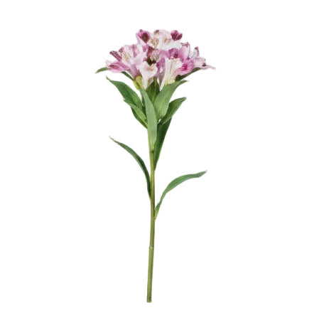 Single Peruvian lily 20x20x80cm - Light purple