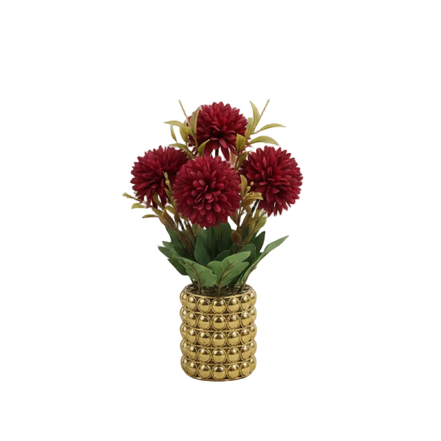 Chrysanthemum in gold pot 26cm - red