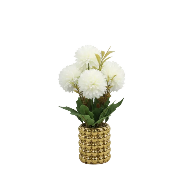 Chrysanthemum in gold pot 26cm - white