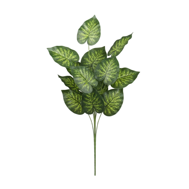 Philodendron stem 70cm