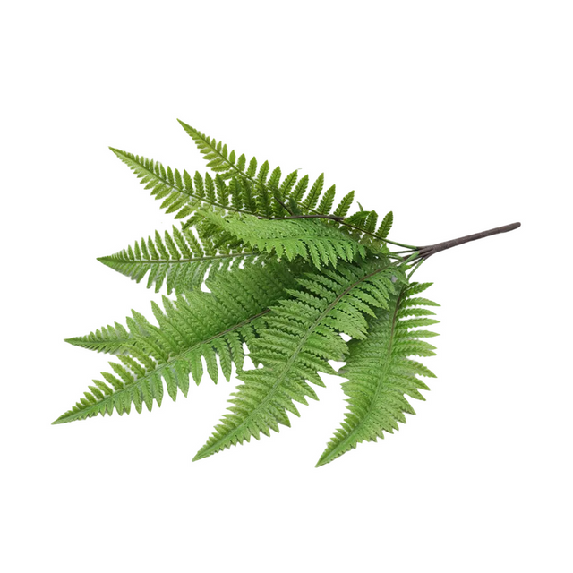 Fern 48cm