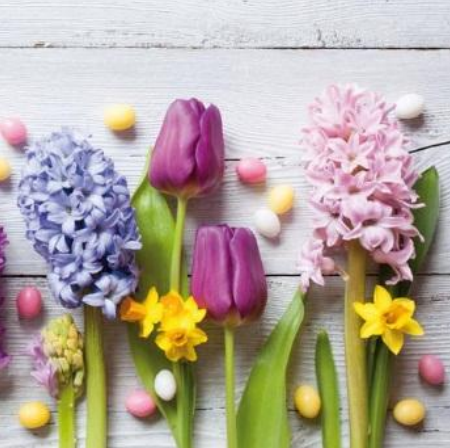 Serviette 33x33cm - 20 pack - Eggs and Candy