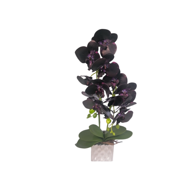 Orchid in pot 52cm Purple