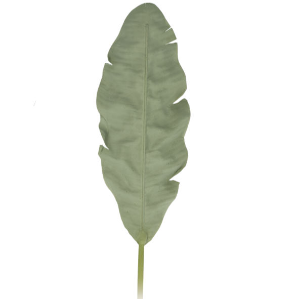 Banana Leaf, 28x5x140, Green