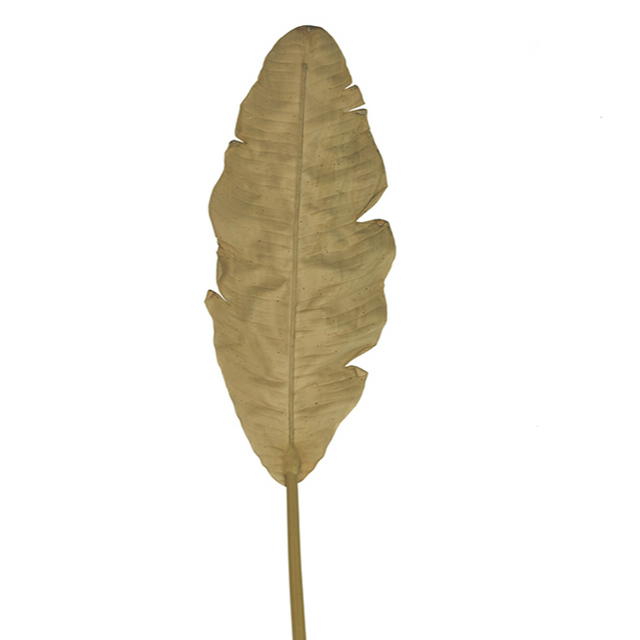 Banana Leaf, 28x5x140, Gold