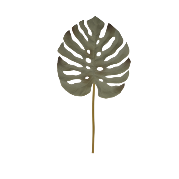 Monstera Leaf, 5xX3x115cm, Green