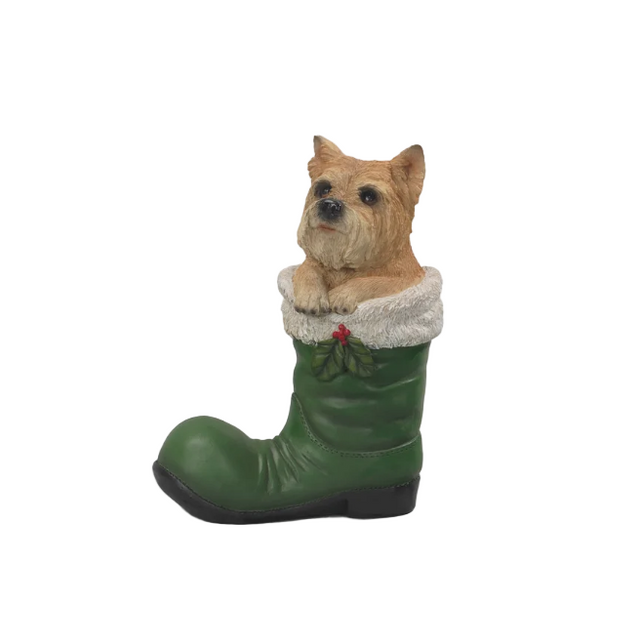 Dog in green boot