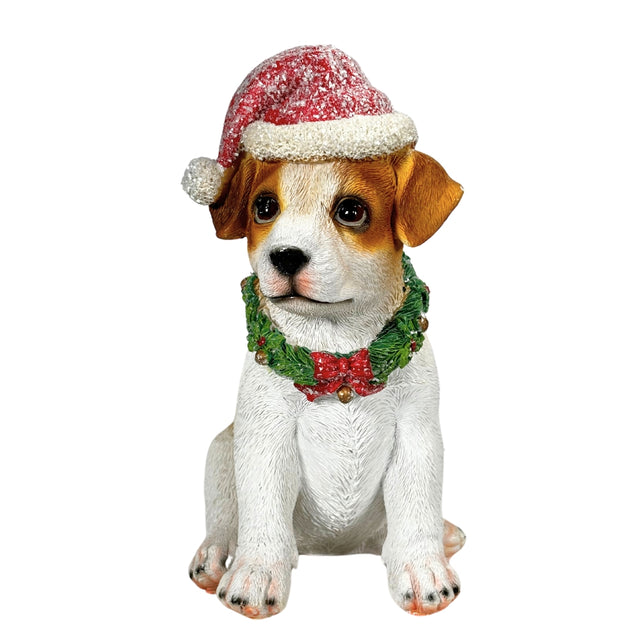 White & brown dog with hat