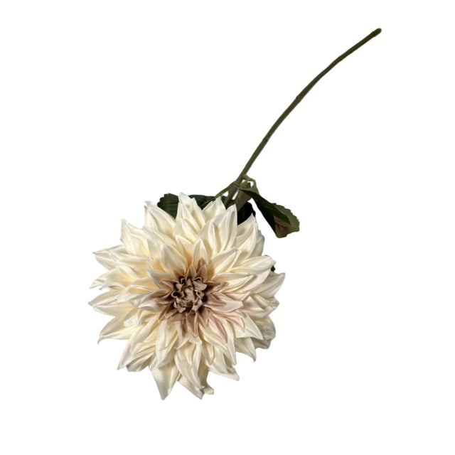 Dahlia White 16x73cm