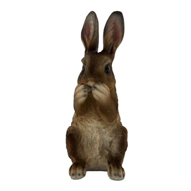 Rabbit Eating