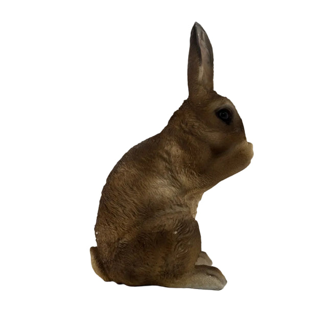 Rabbit Eating