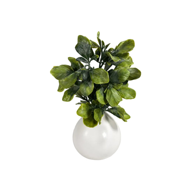 Greenery 26cm in ceramic pot 10x10cm - lamb ears