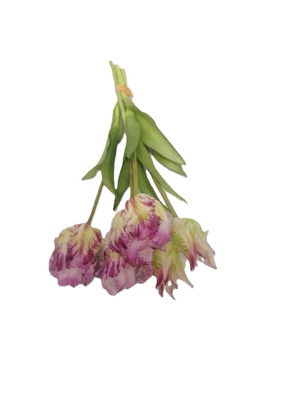 Tulips Bunch - Purple 40cm