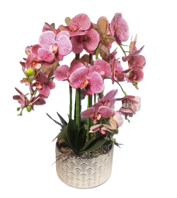 Orchid In Pot 72cm Gold Pot