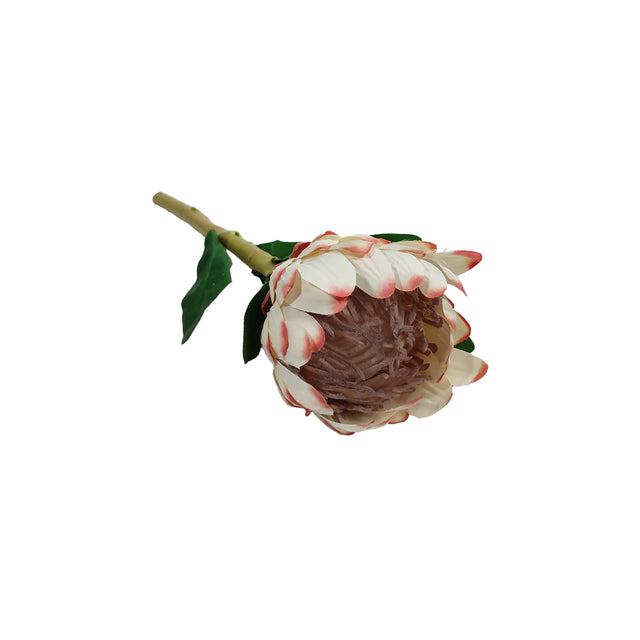 Artificial Protea 37X8X10Cm - White/Pink