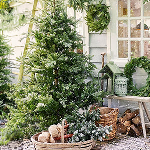 White Christmas