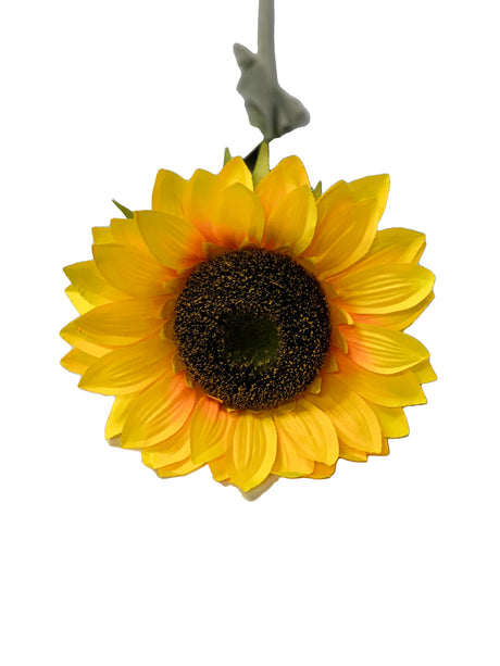 Sunflower 1m