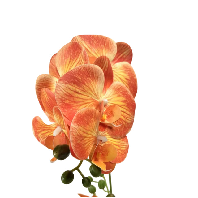 Orange orchid in gold pot 43cm